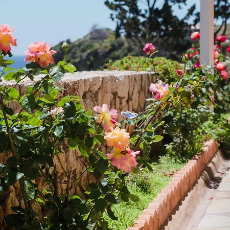 Asta La Vista Maisonettes Country house Pesadha